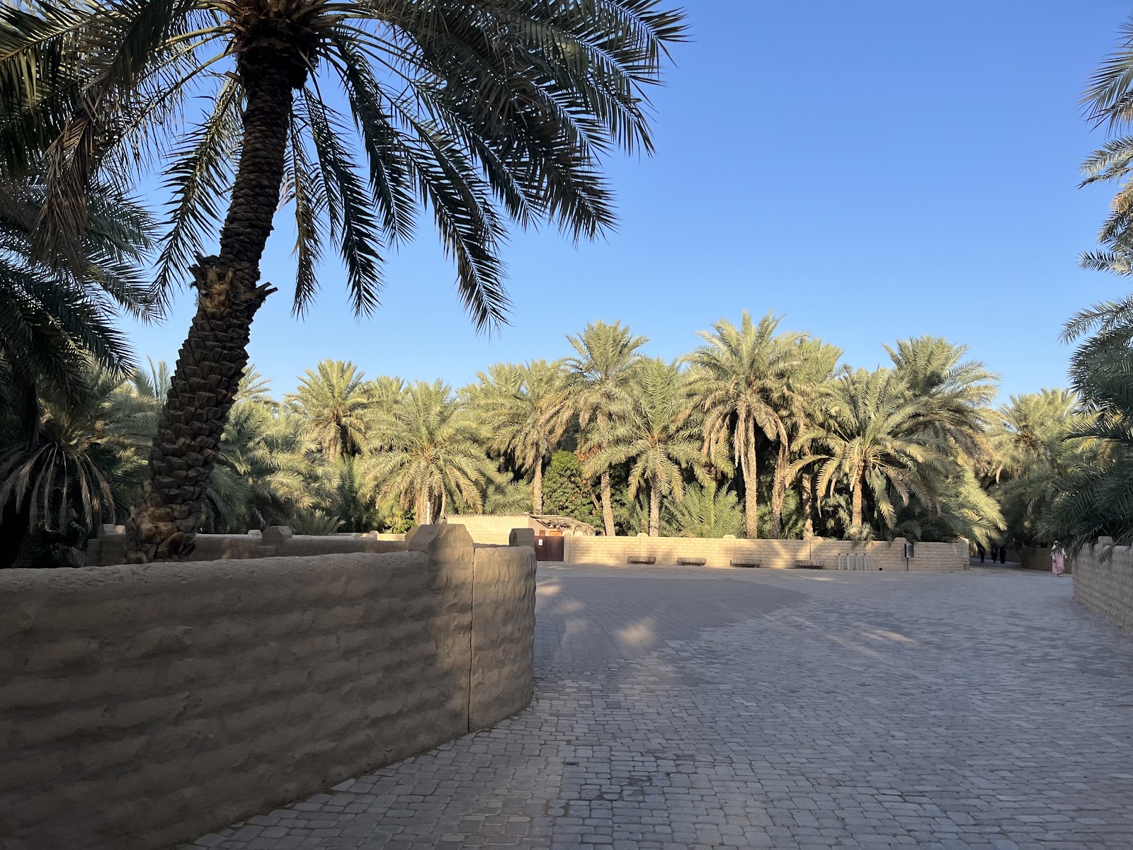 Al Ain Oasis
