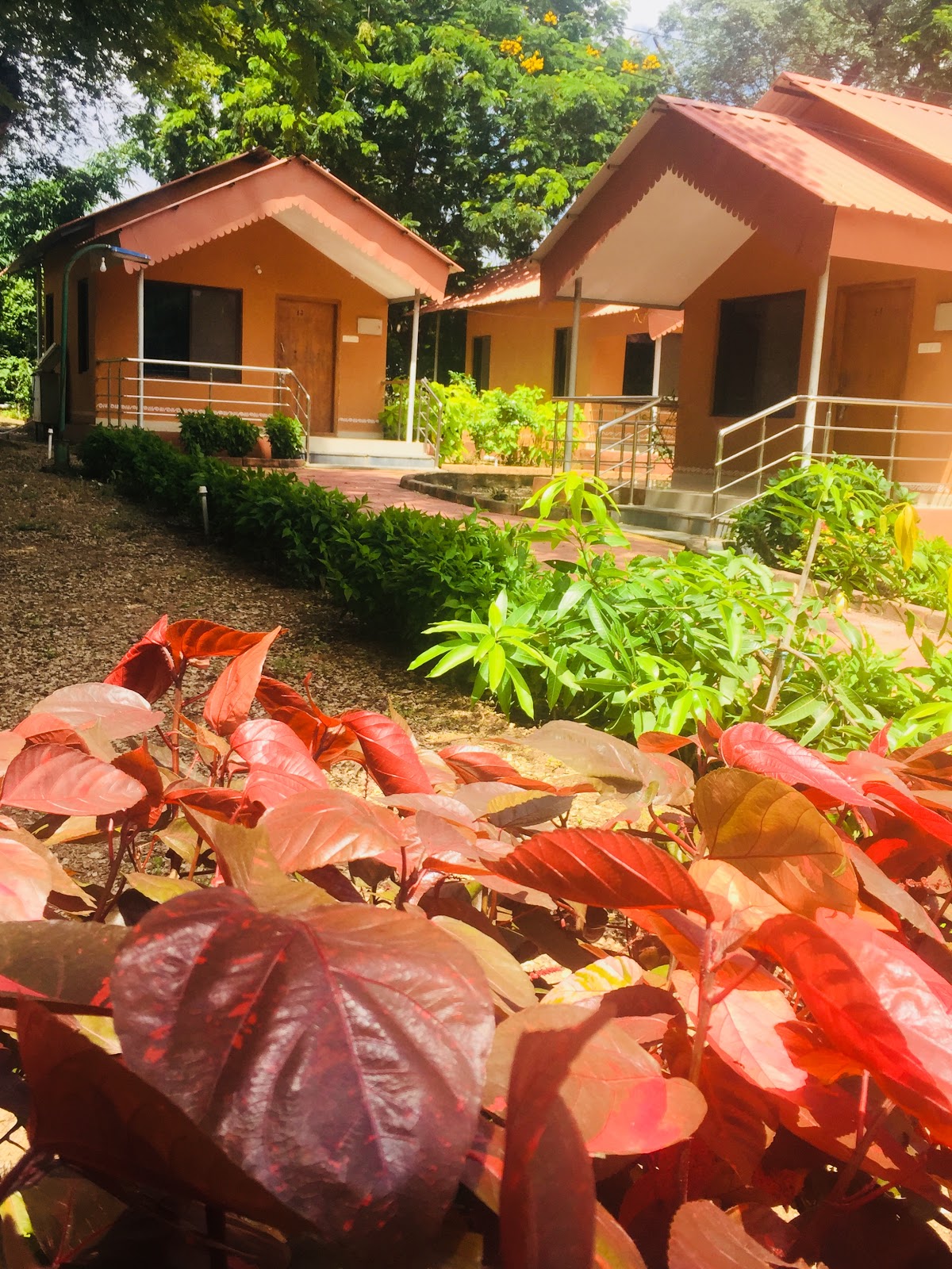 Haritha Resorts Jannaram