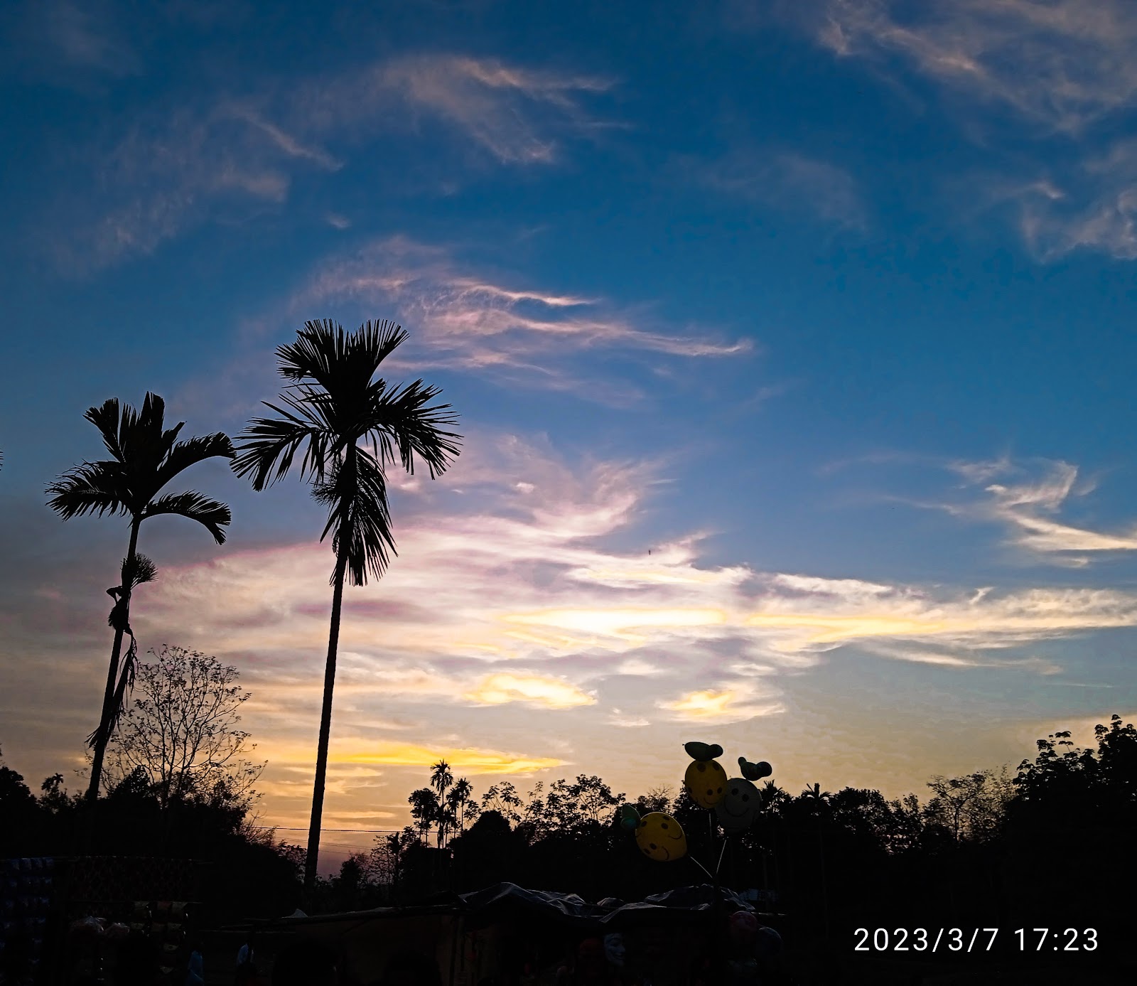 Brajendranagar