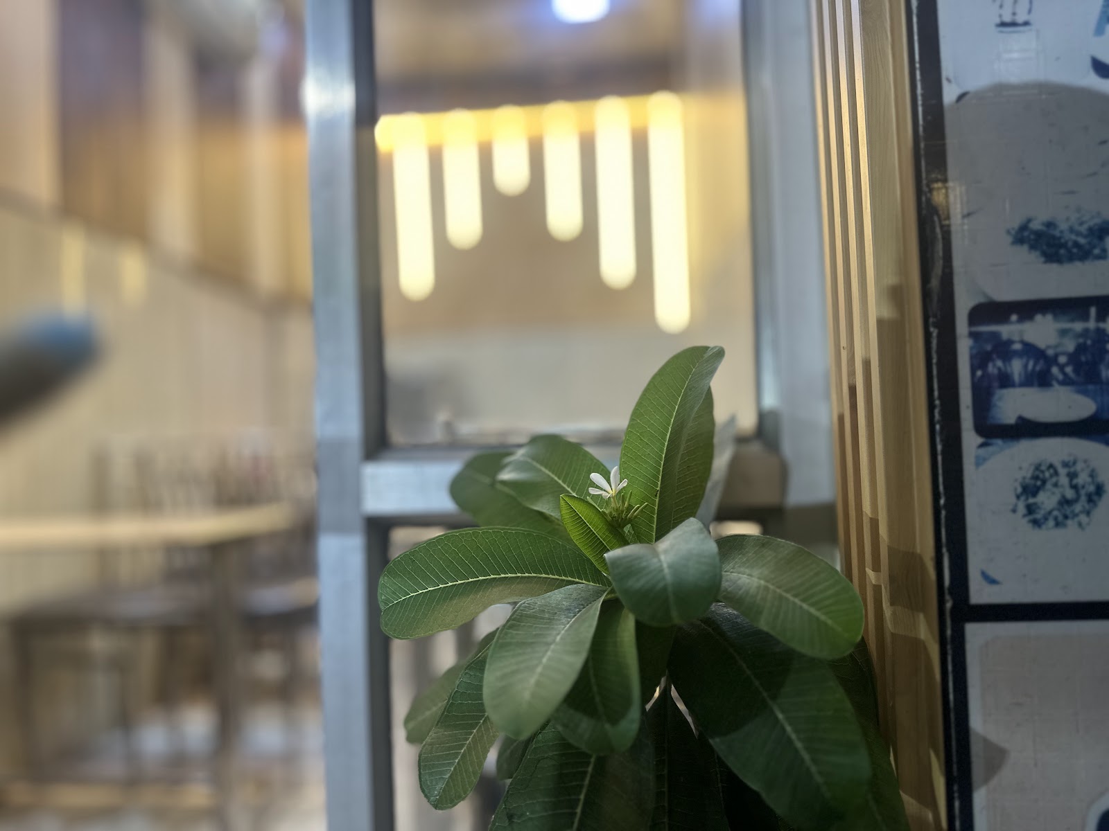 Treat Restaurant