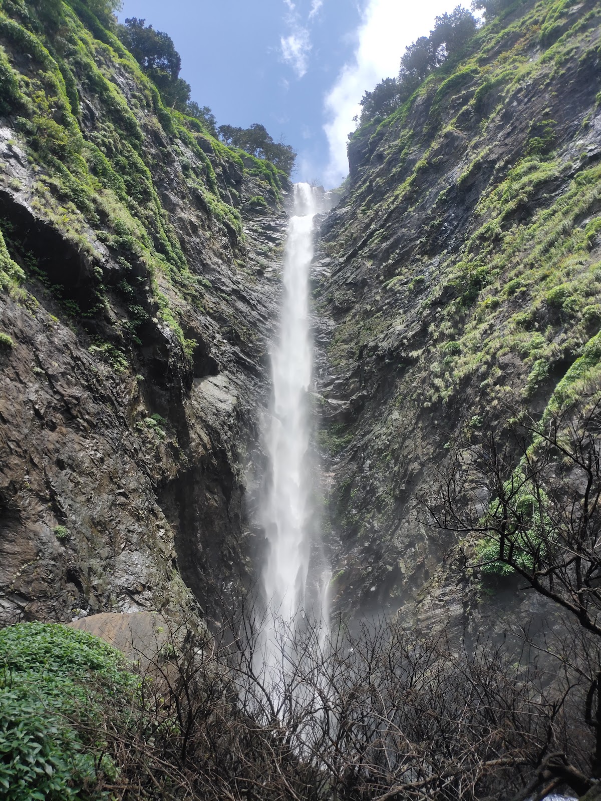 agumbe