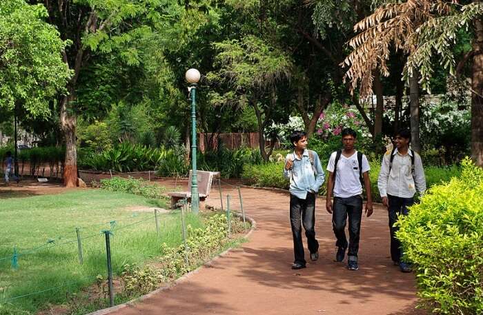 Law Garden