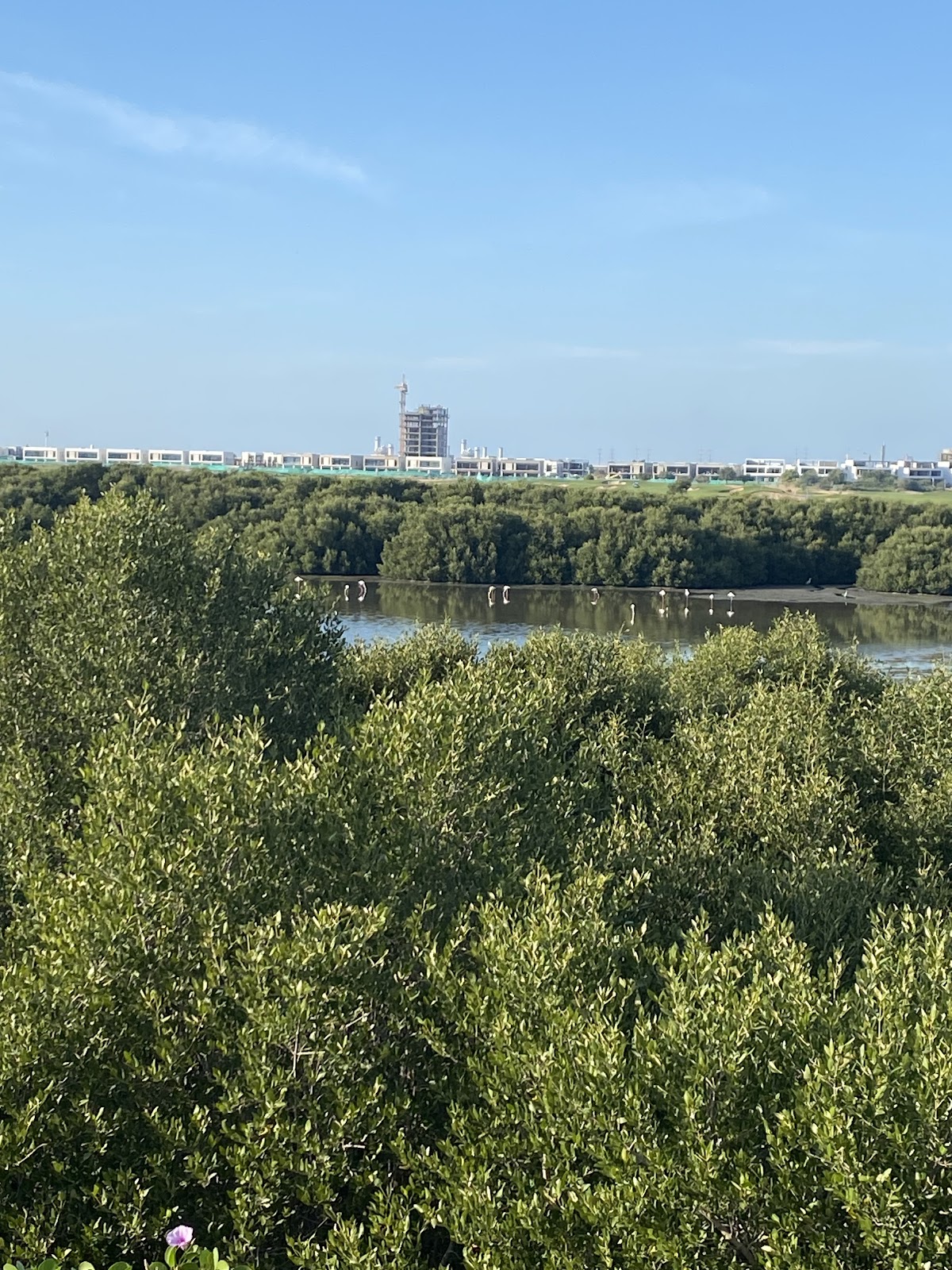 Al Zorah Natural Reserve