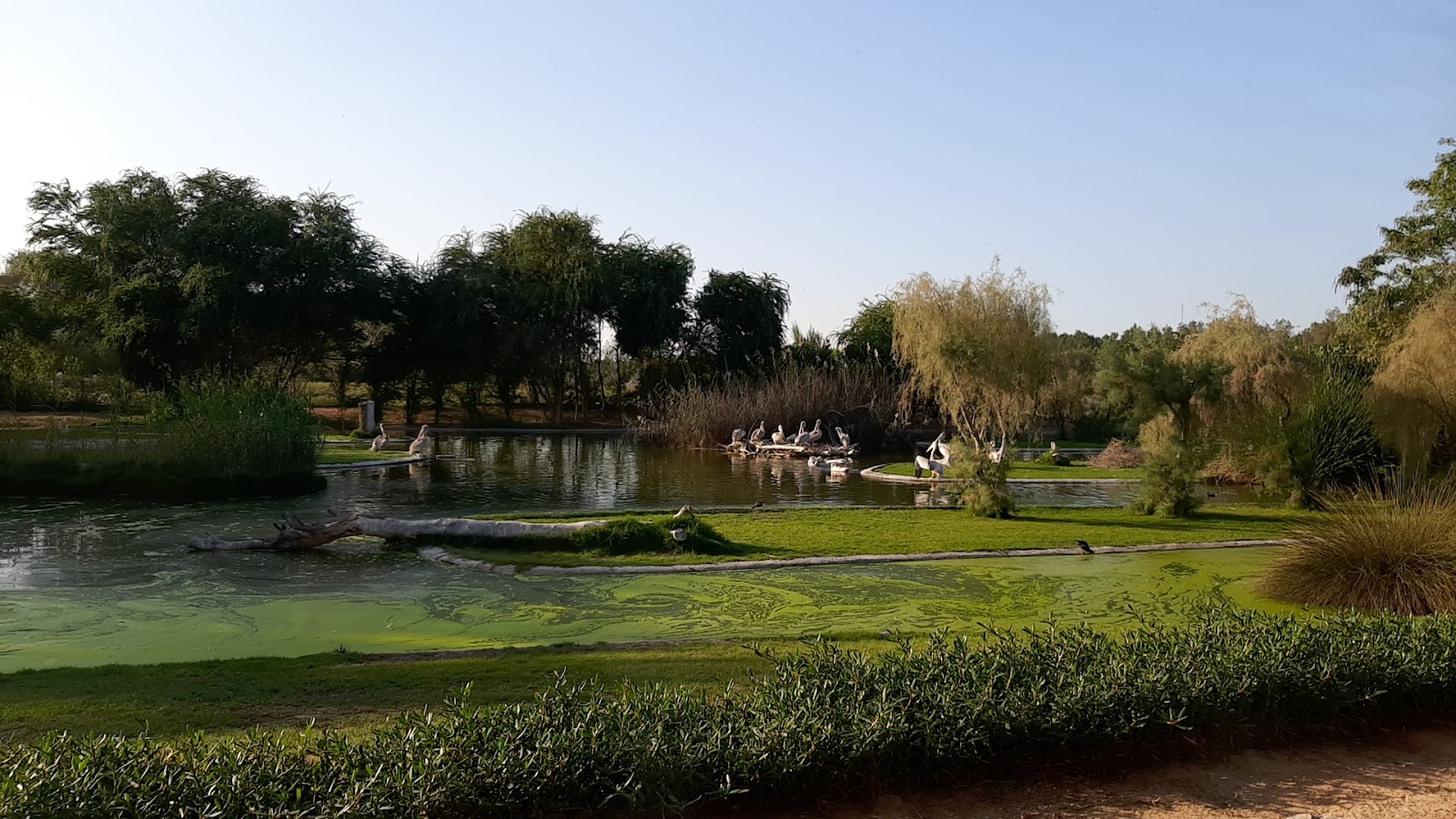 Wasit Wetland Centre