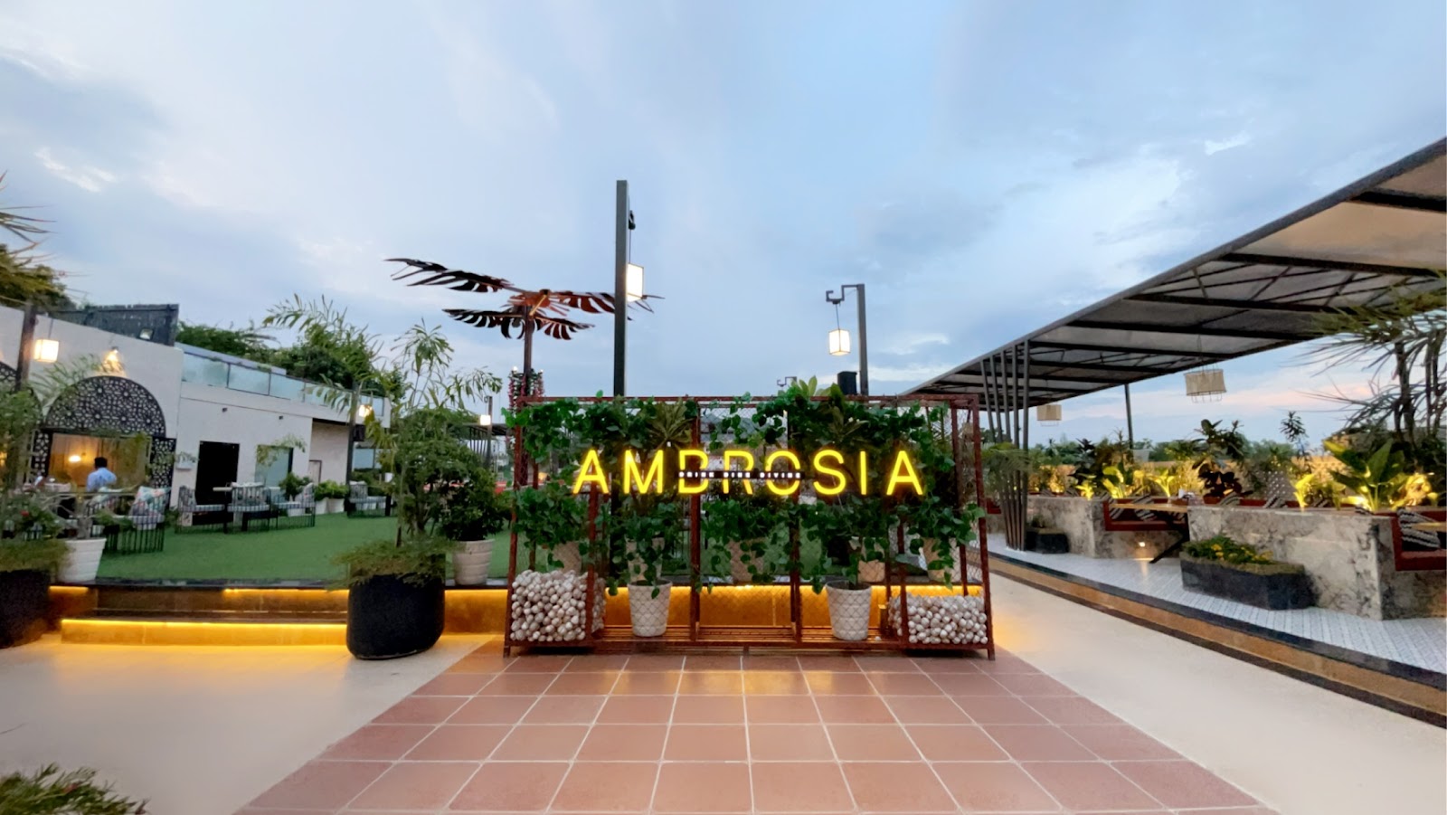 Ambrosia