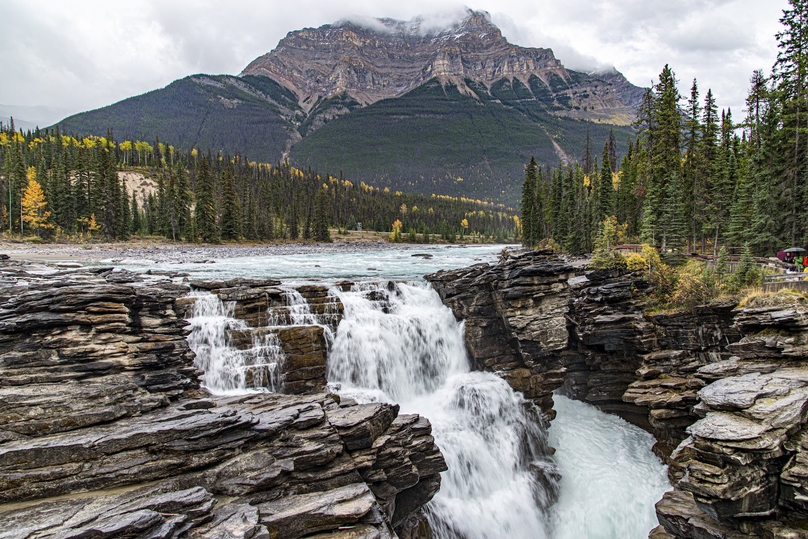 Athabasca Falls