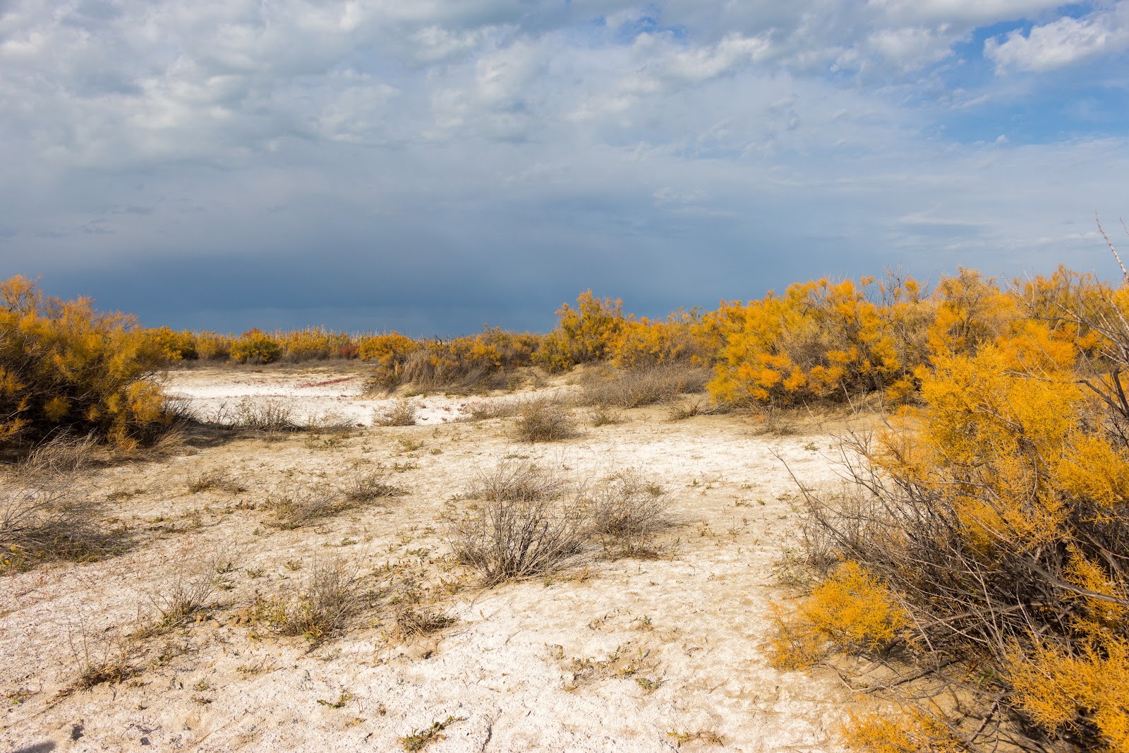 Saryesik-Atyrau Desert