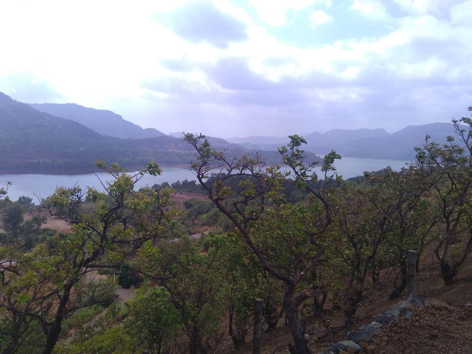 Nandivali