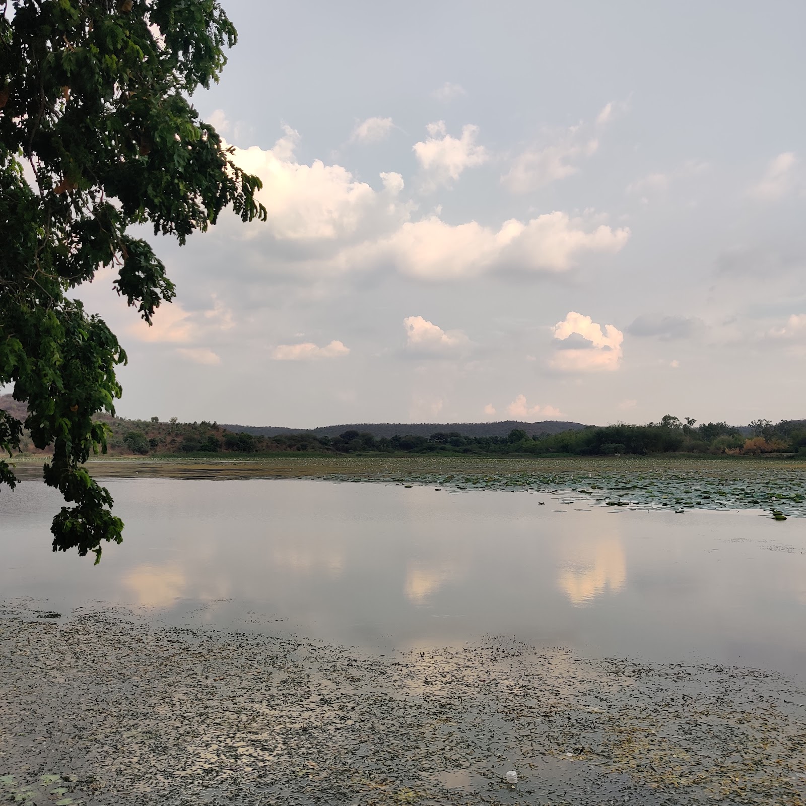 Wadali Talav