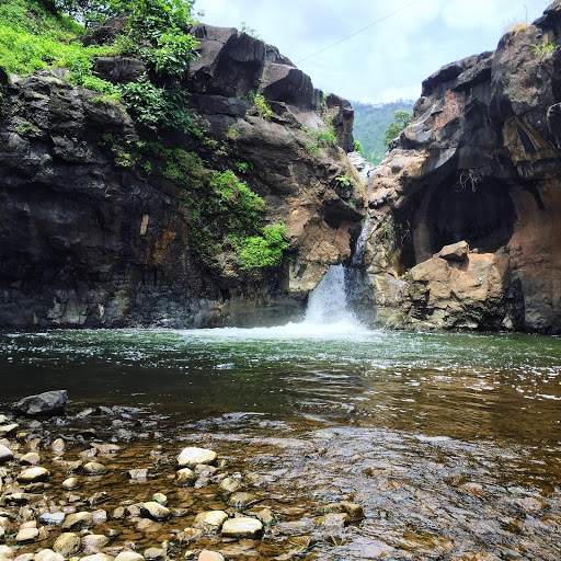 Shoolpaneshwar Wildlife Sanctuary.