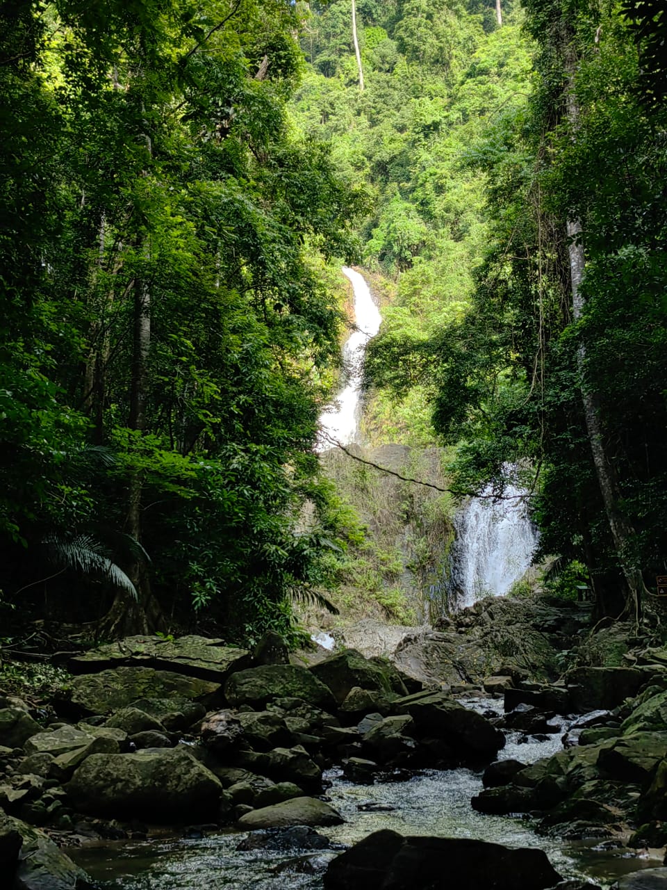 Khao Phanom Bencha National Park