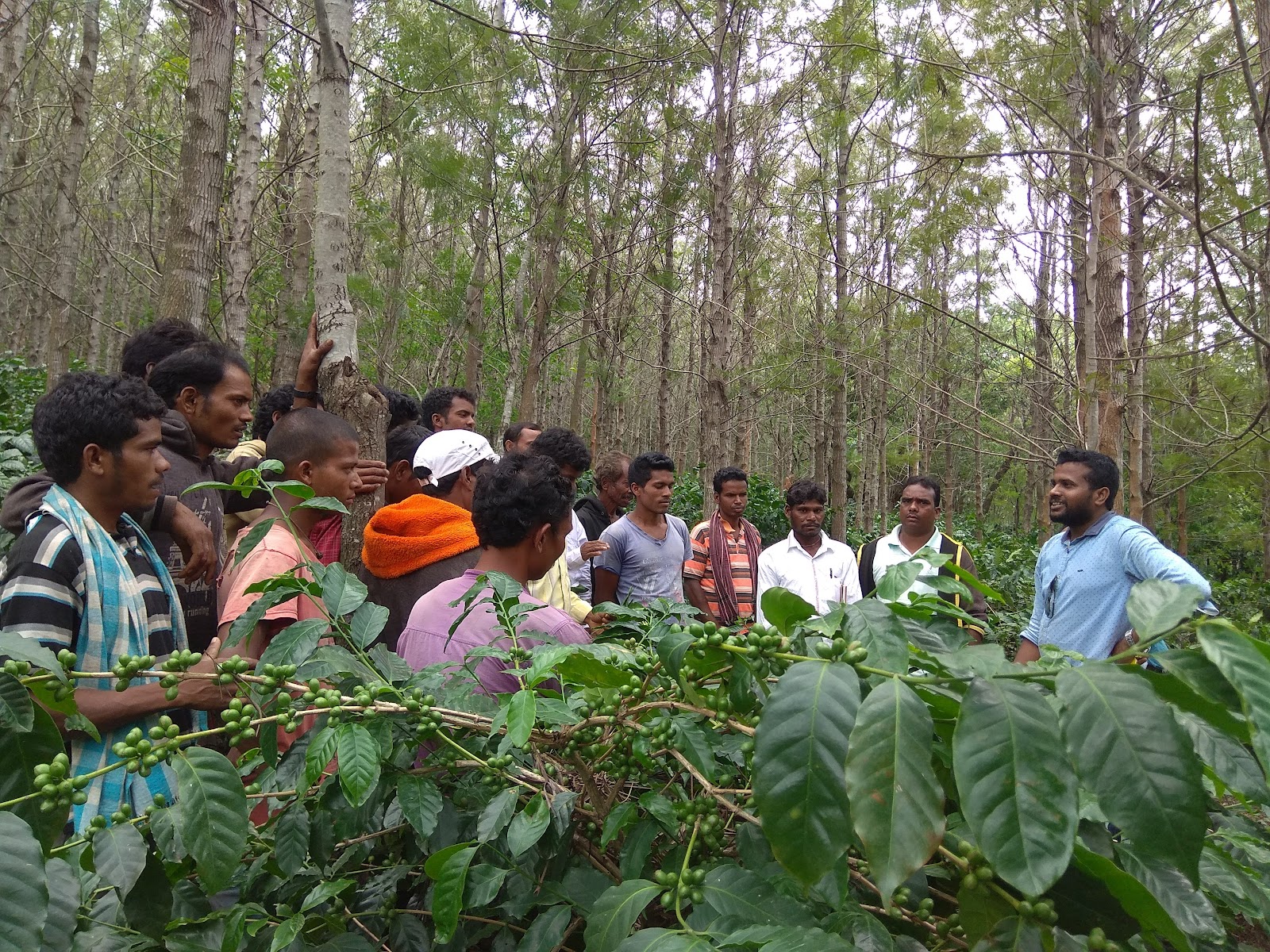 Araku Coffee Board Office