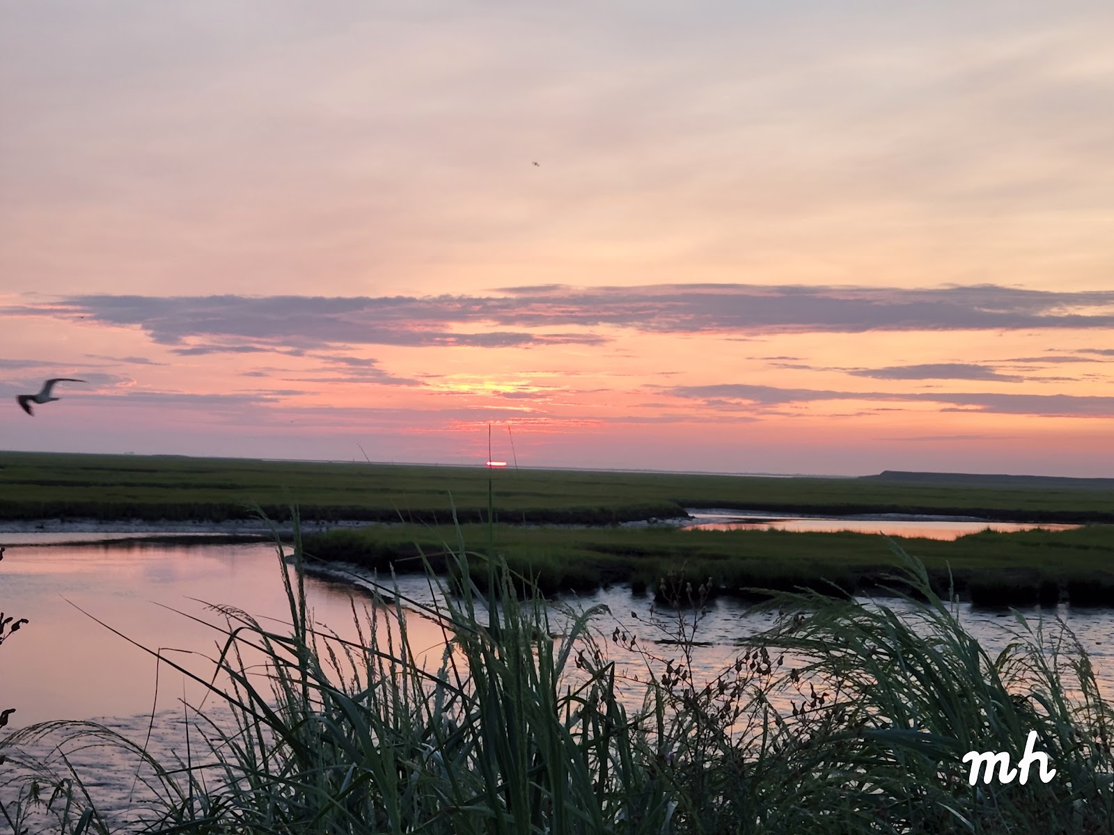 Edwin B. Forsythe National Wildlife Refuge