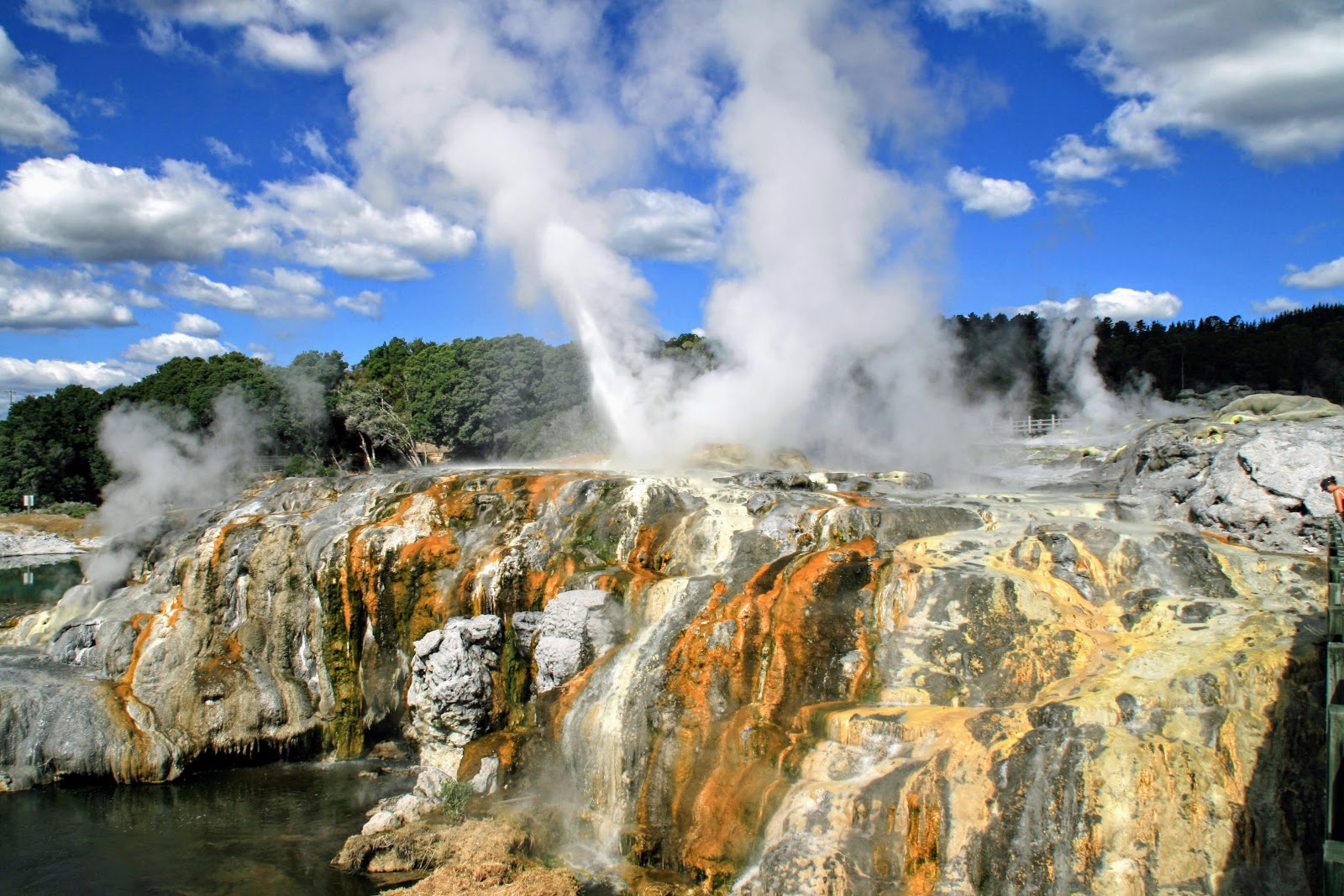 Rotorua