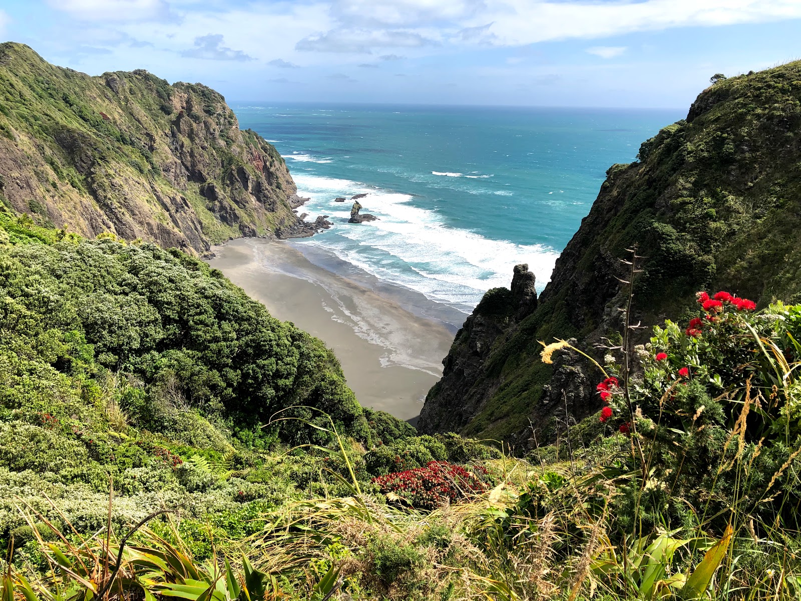 Waitakere Ranges