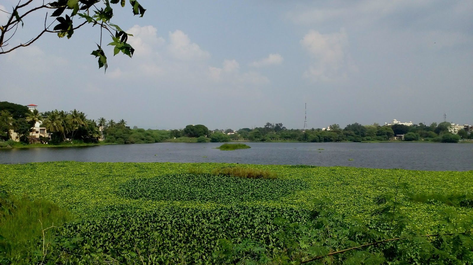 Salim Ali Lake