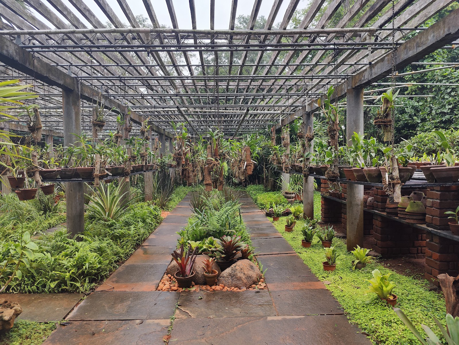 Auroville Botanical Gardens