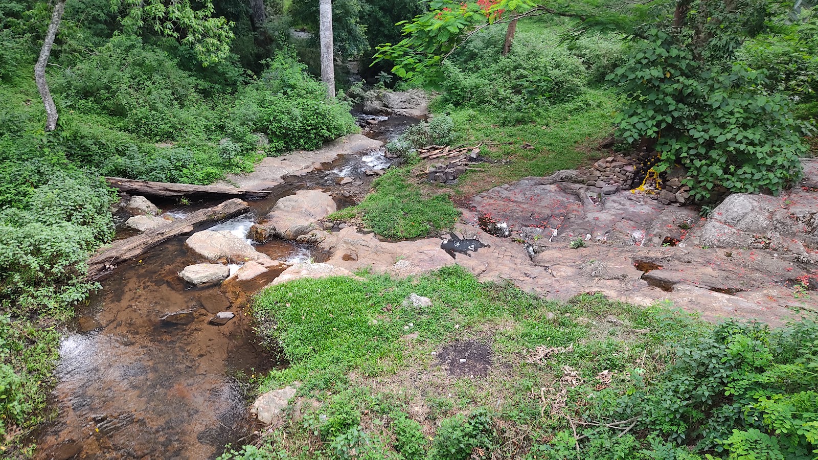 Biligiri Dodda Sampige Mara Bridge