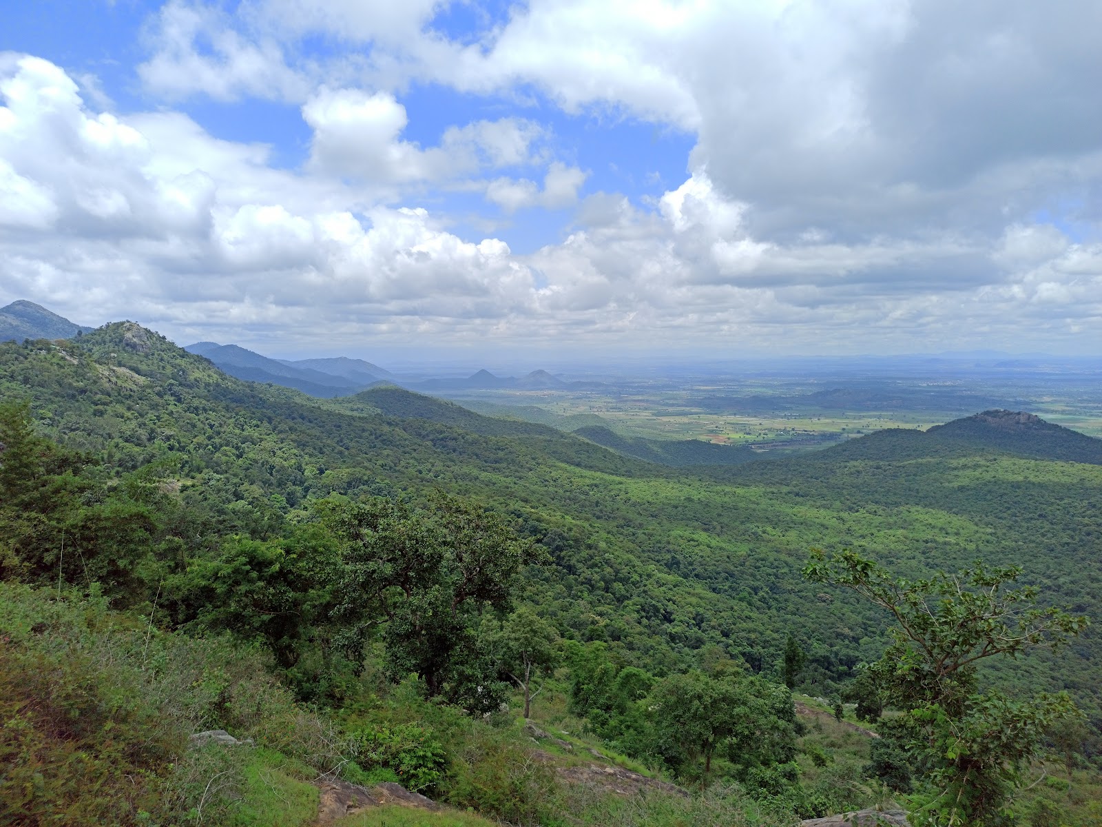 BRT Tiger Reserve