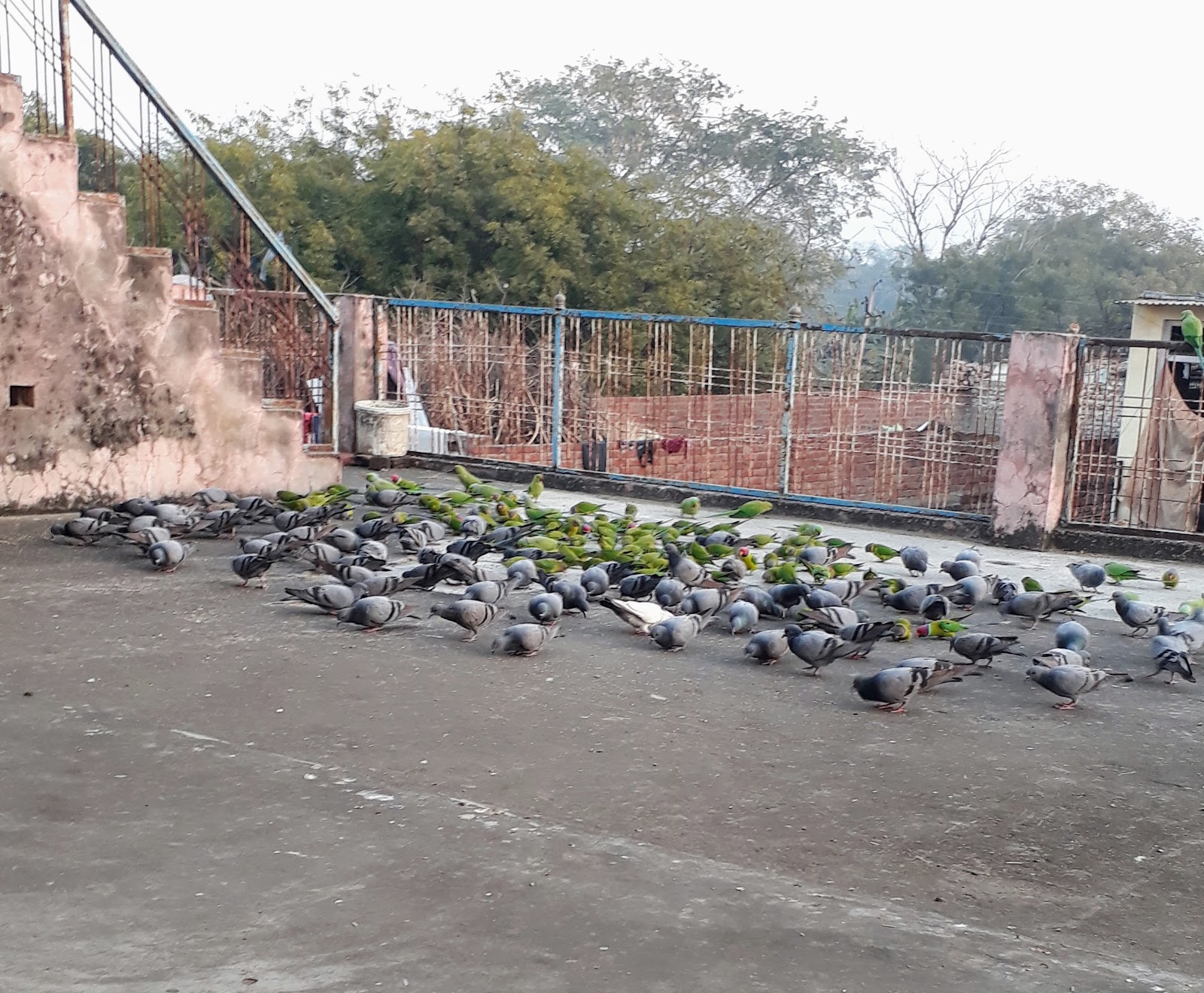 Lakhimpur Kheri