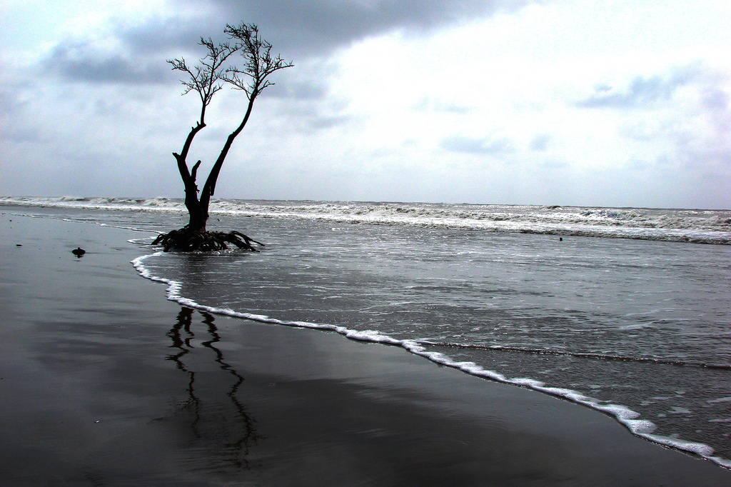 Bakkhali, West Bengal, India