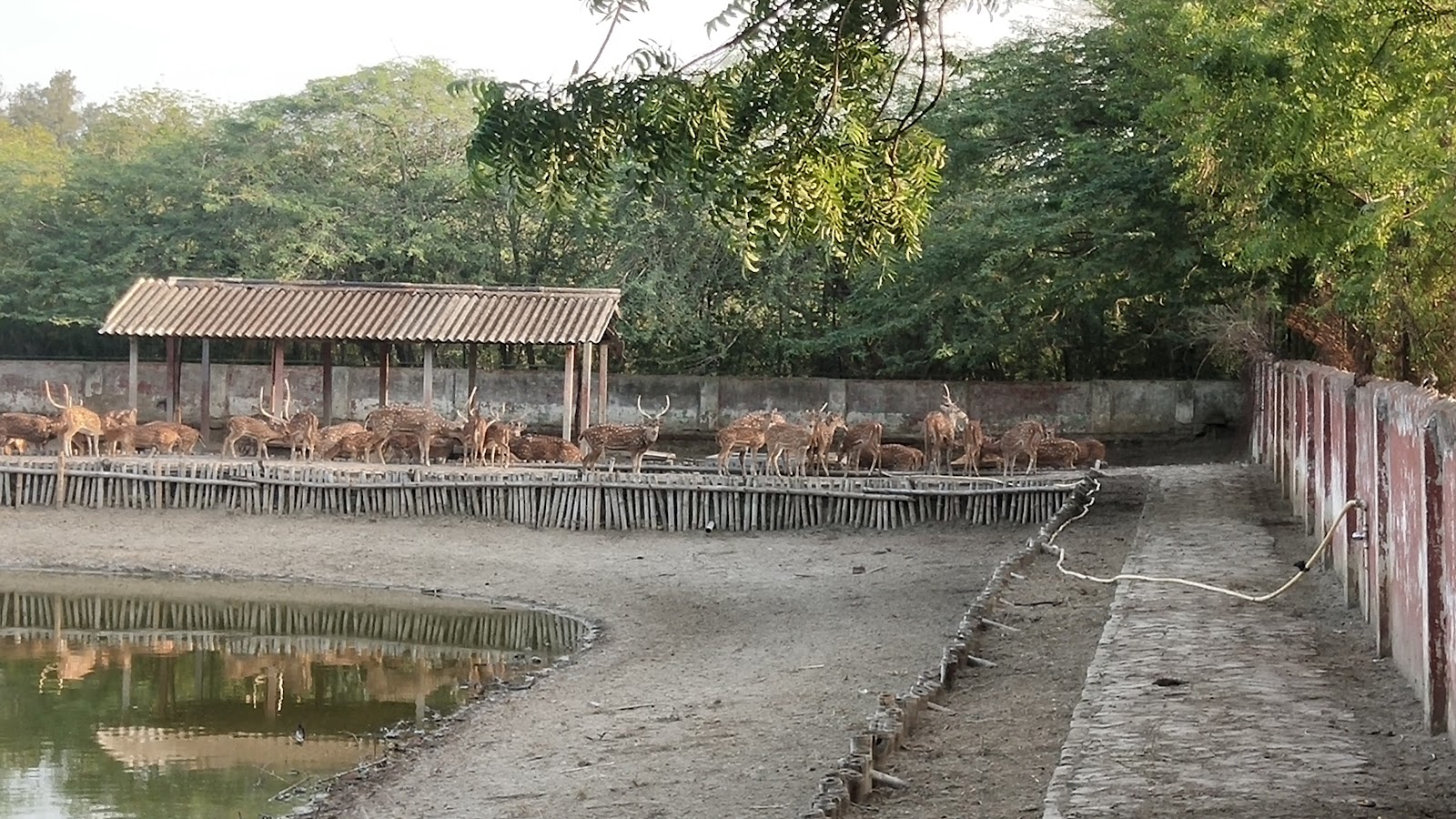 Bokkhali Crocodile Project