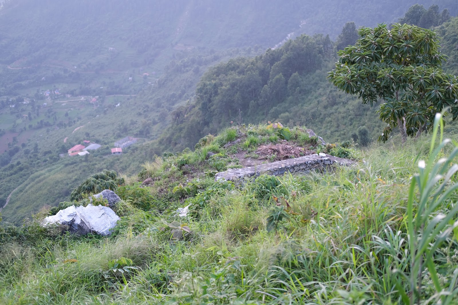 Thani mai/Purankot
