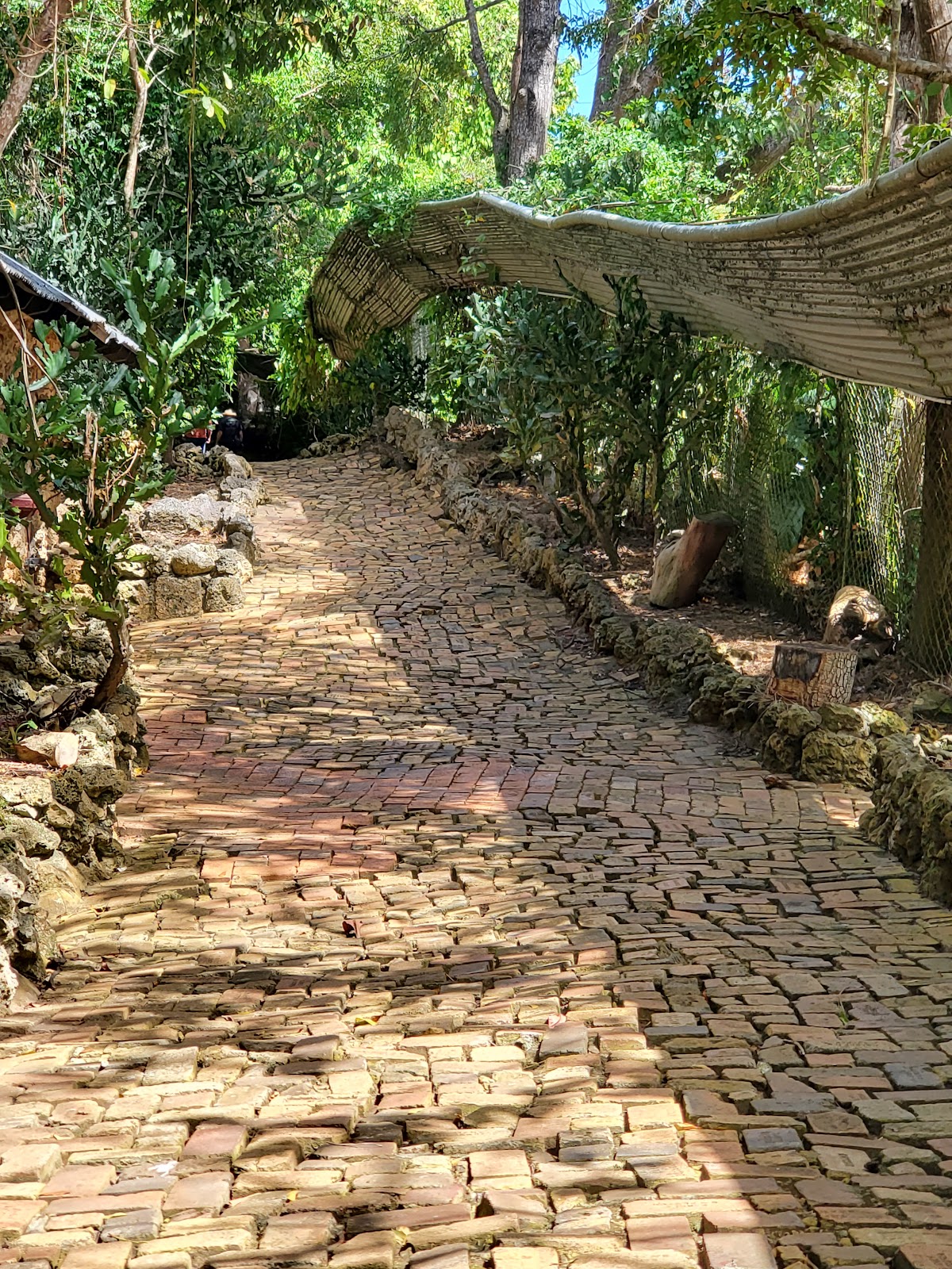 Barbados Wildlife Reserve