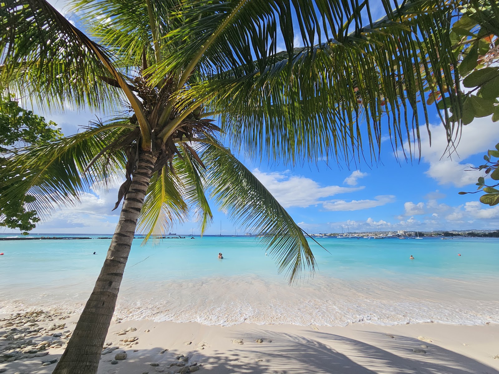 Carlisle Bay