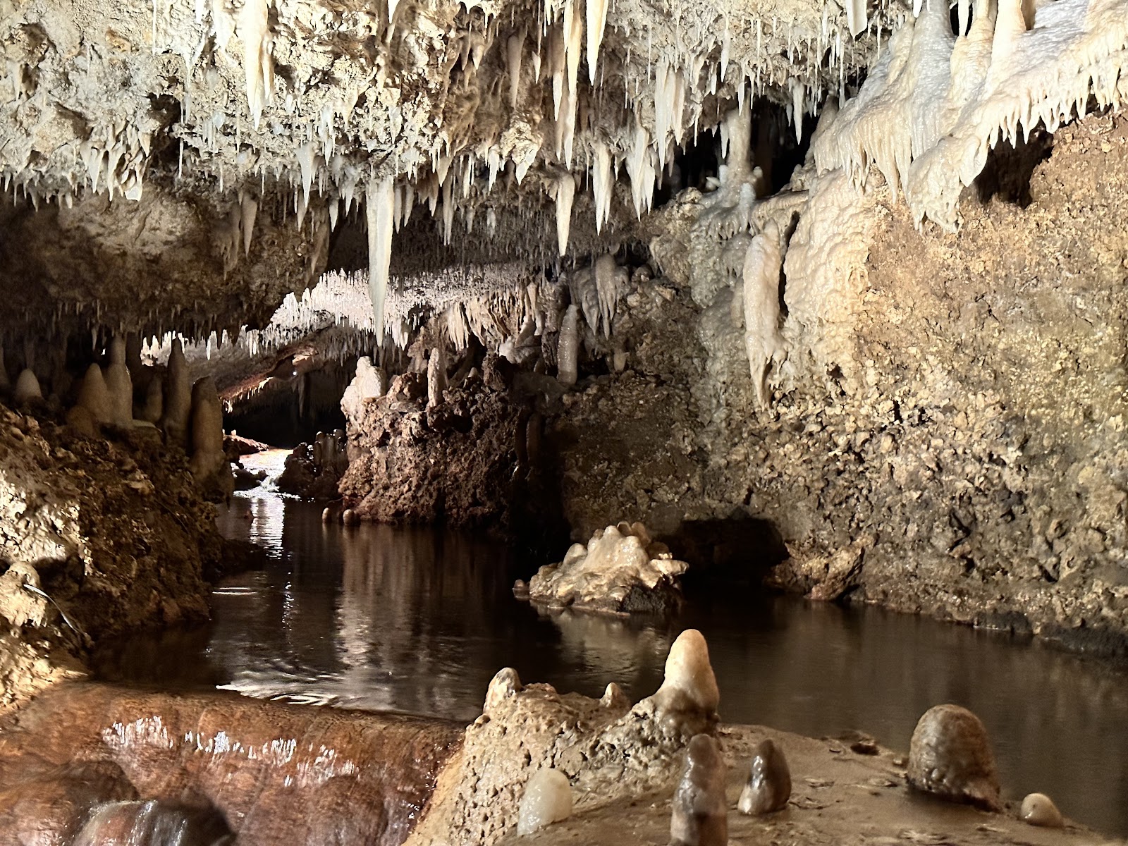 Harrison's Cave Eco-Adventure Park