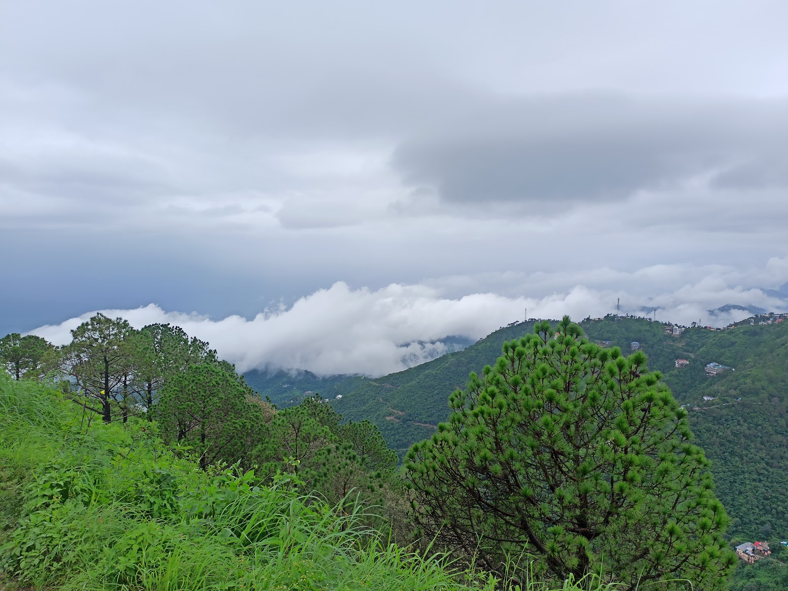 barog
