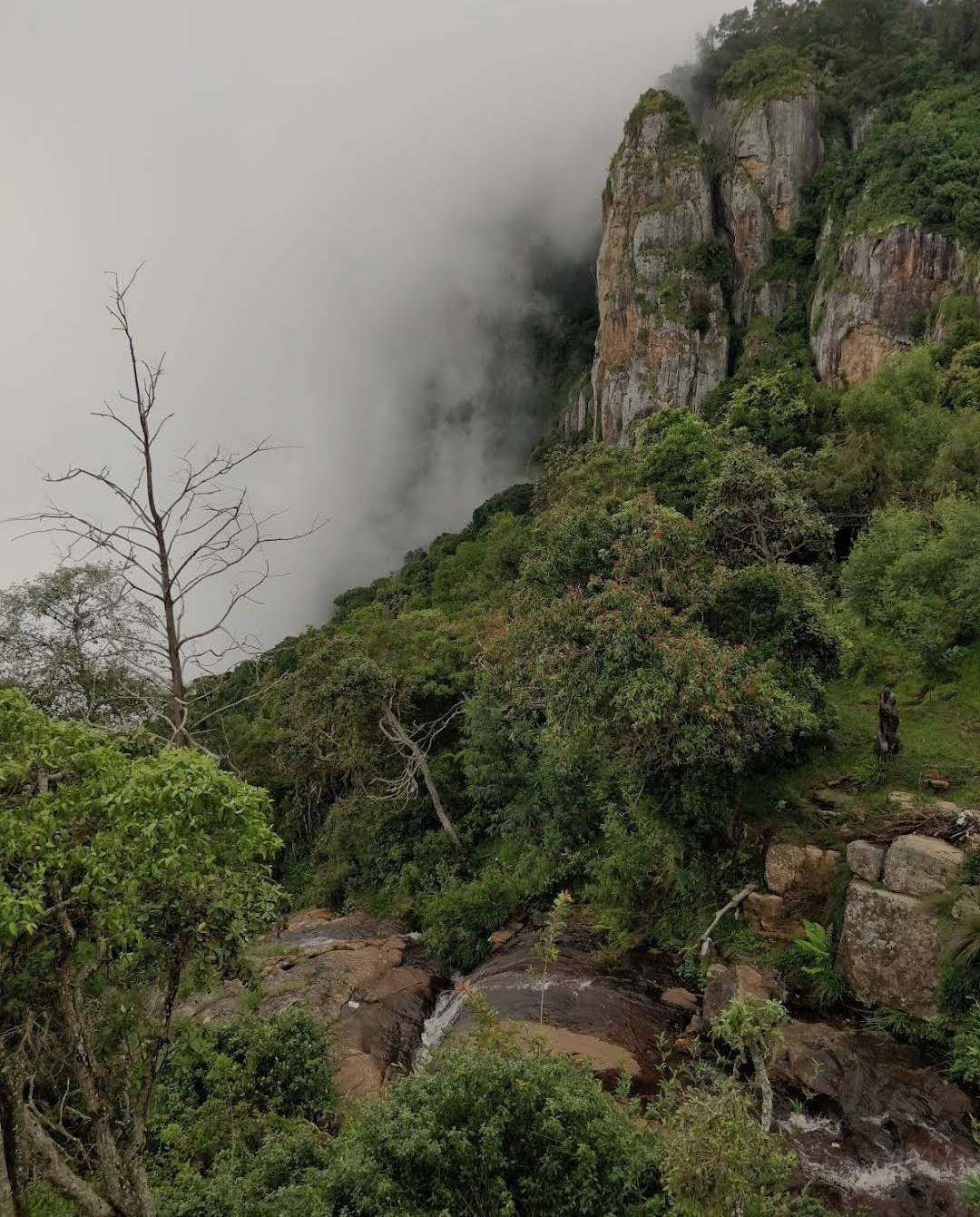 Pillar Rock (Guna Rock)
