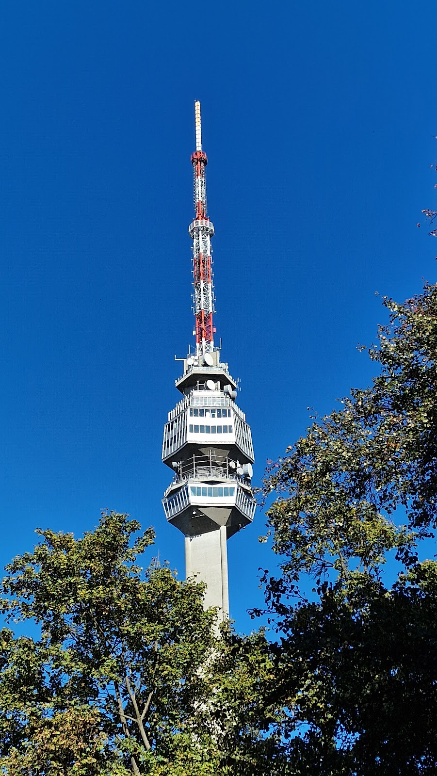 Avala