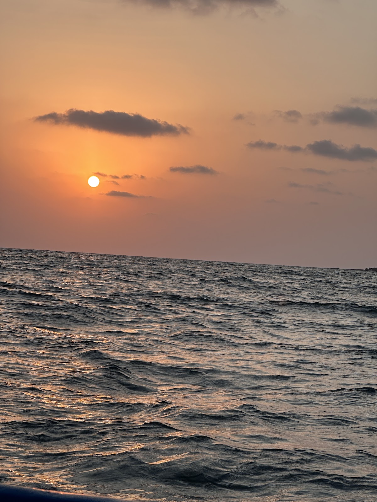 Dolphins ride Coco beach Nerul