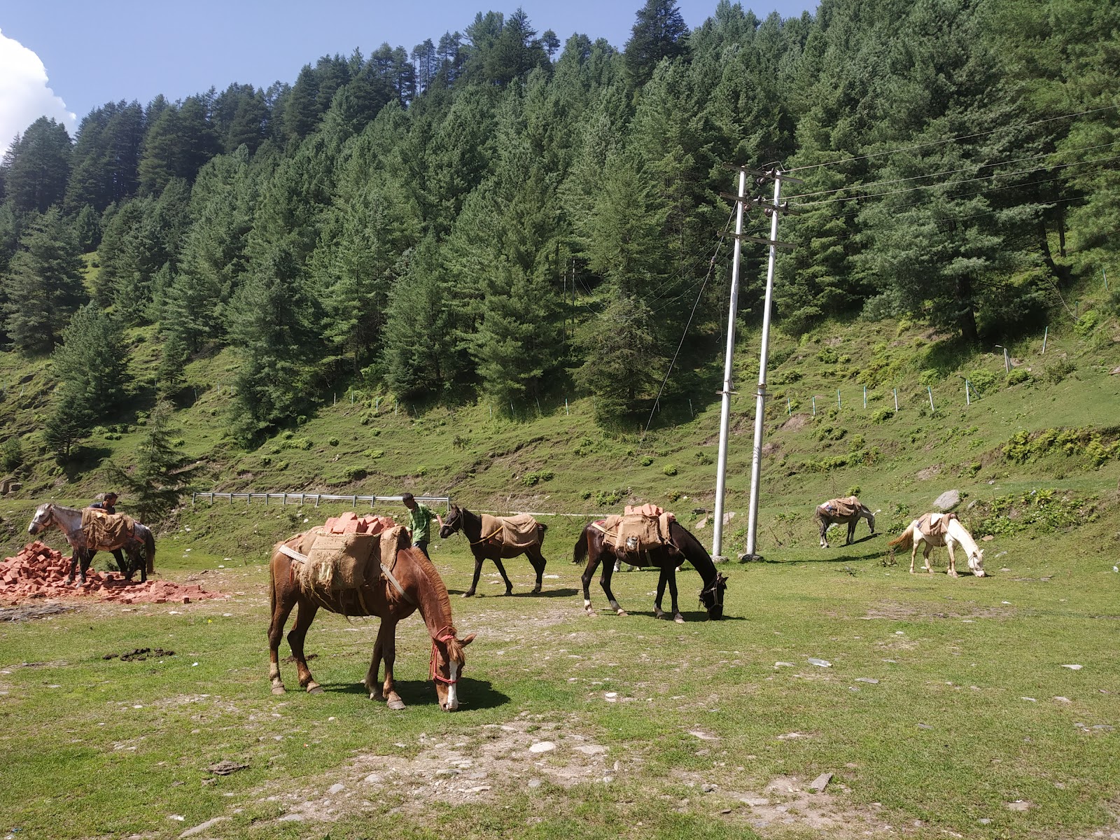 Jai Valley