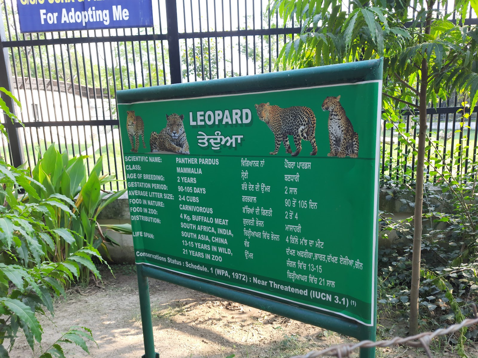 Bir Talab Zoo, Bathinda