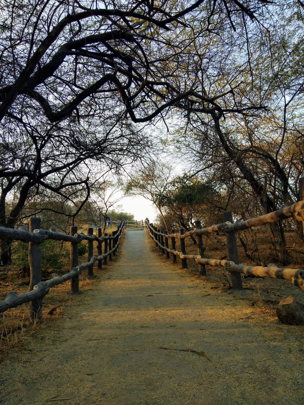 Victoria Park Bhavnagar - Birds Century