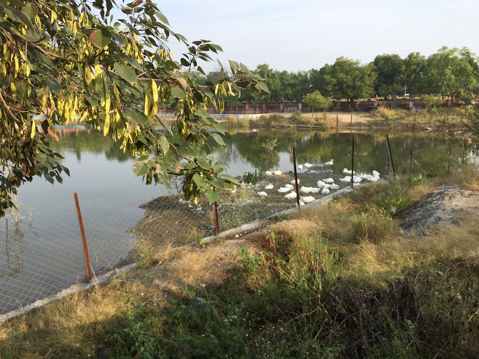 Smriti Van Garden