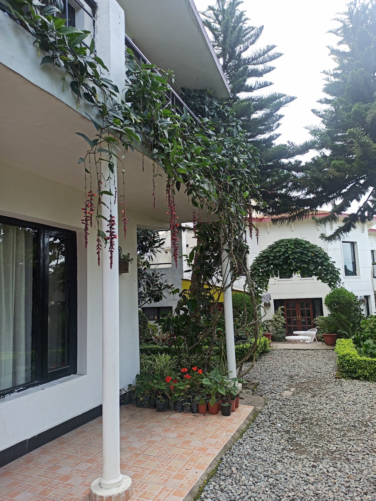 8fold-Pinecrest by LaRiSa, Bhimtal