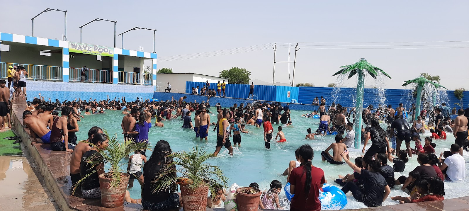 Dolphin water park