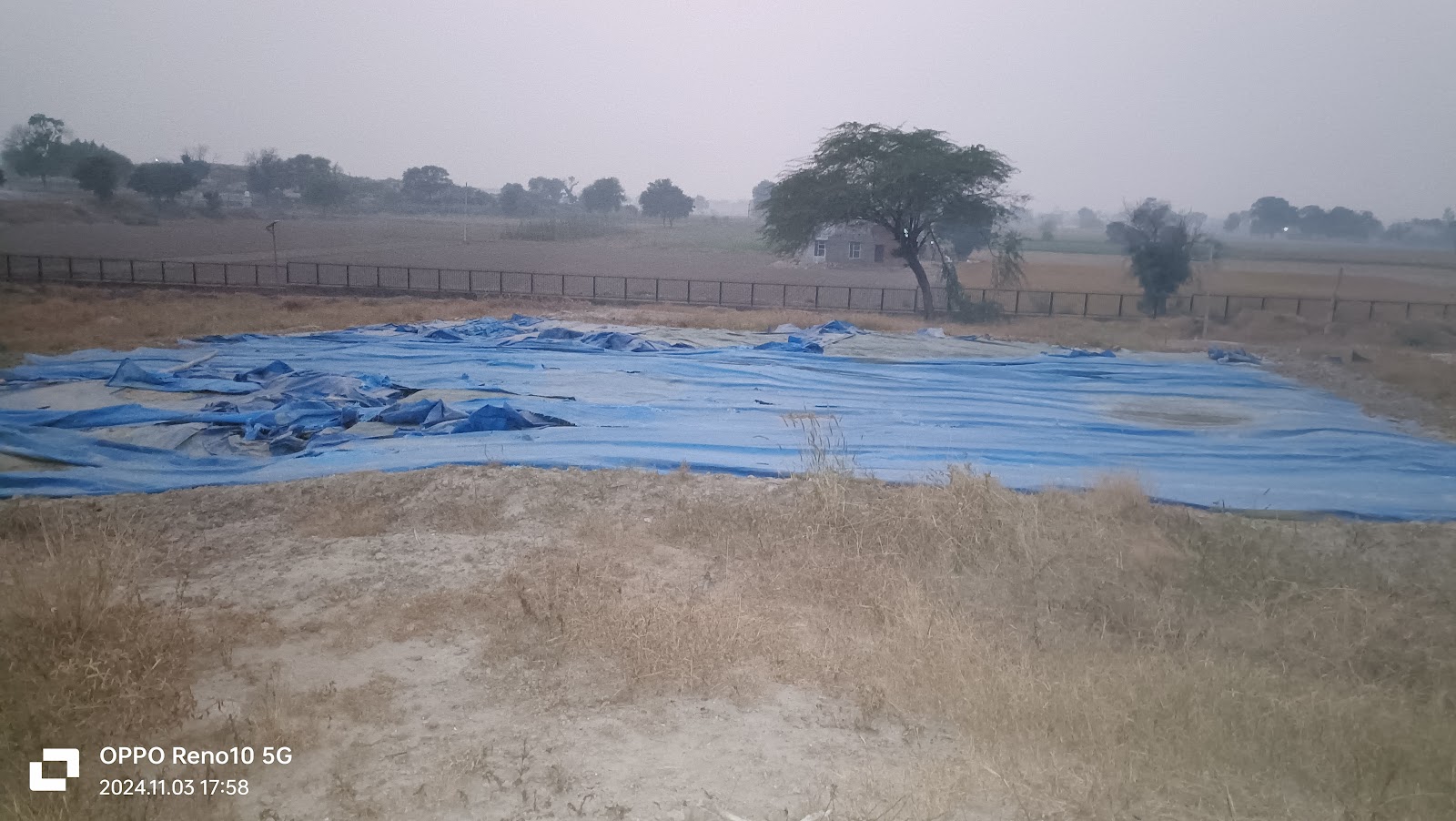 RGR-1 Rakhi Garhi Iconic Harappan Site