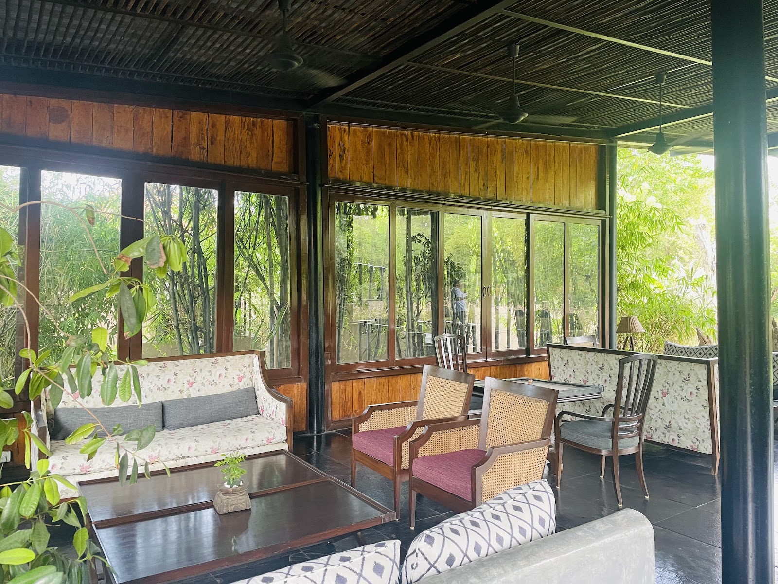Under the jamun tree restaurant