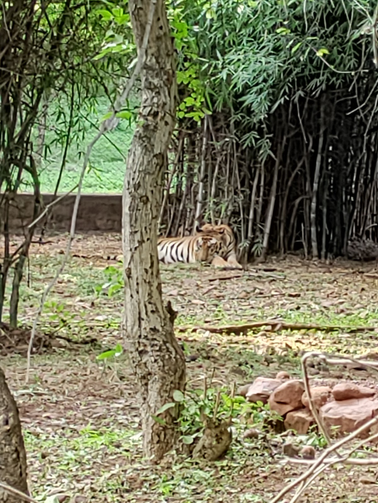 Van Vihar National Park