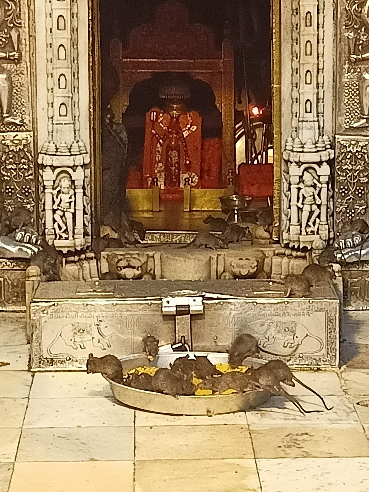 Karni Mata Temple