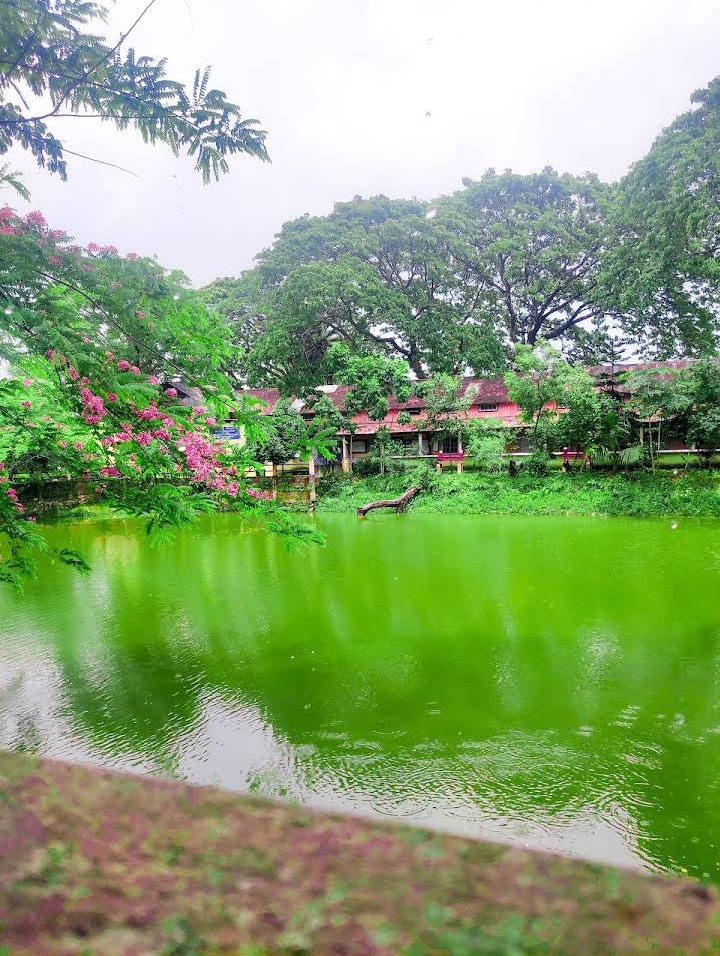 Goalpara