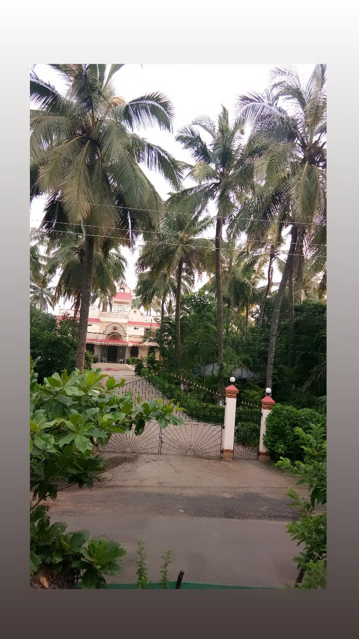 Kalpataru