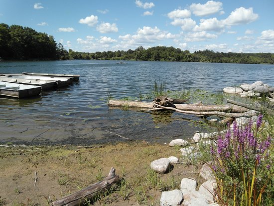 Heart Lake Conservation Park