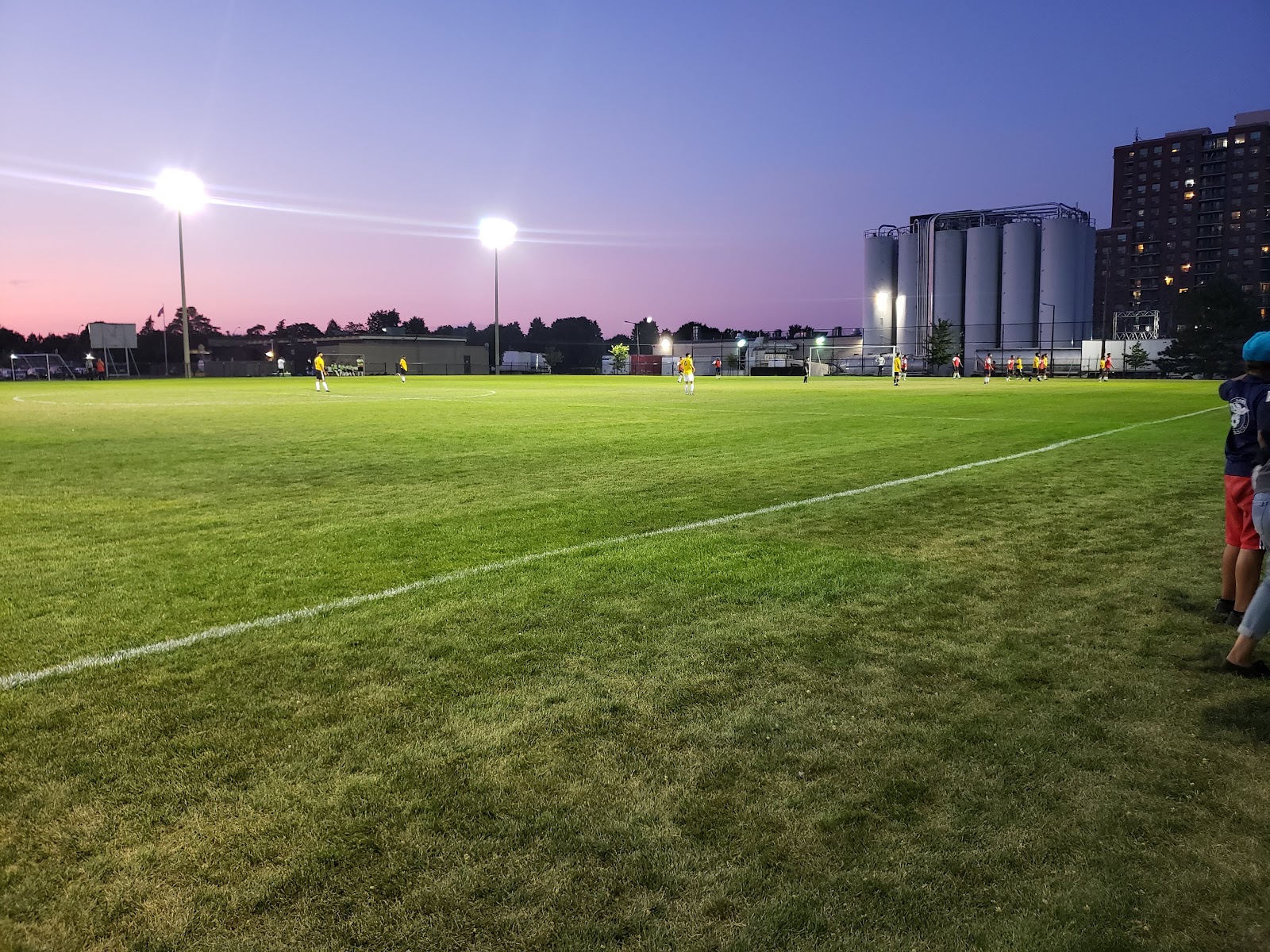 Victoria Park Soccer Stadium