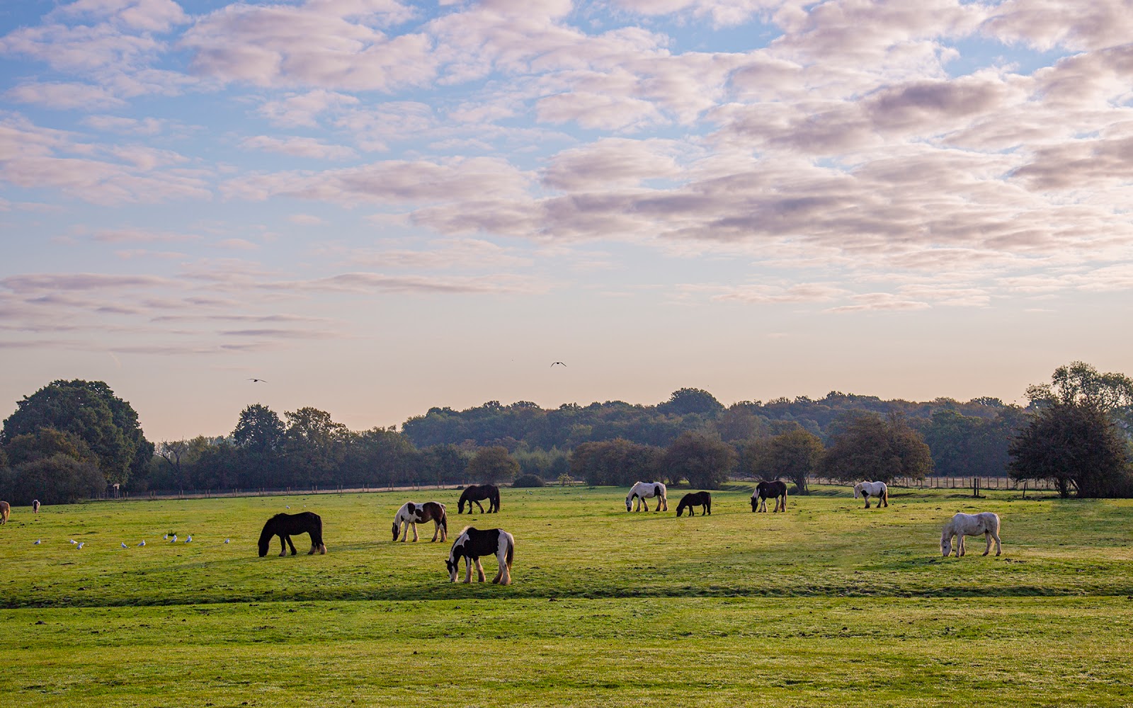 Hopefield Animal Sanctuary & Visitor Centre