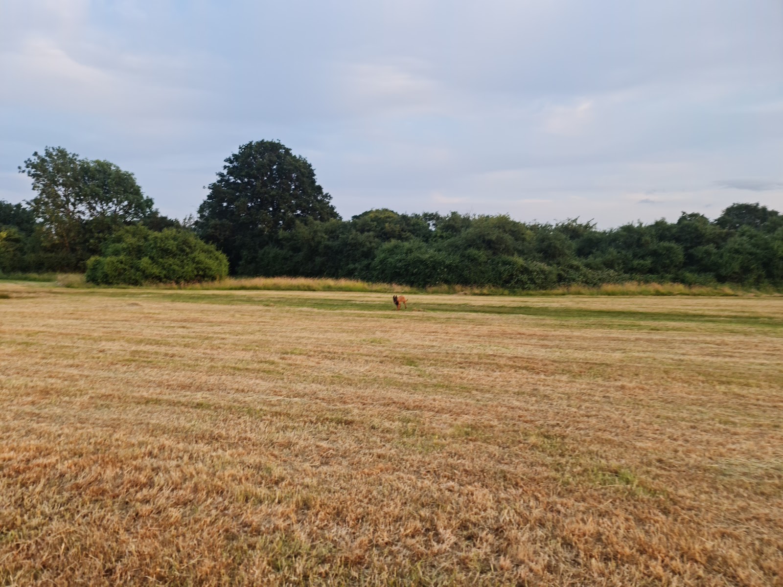 Hutton Country Park